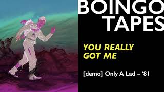 You Really Got Me Demo – Oingo Boingo  Only A Lad 1981 [upl. by Inah877]