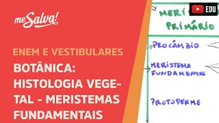 Me Salva BOT16  Botânica  Histologia vegetal meristemas fundamentais [upl. by Hulbard]