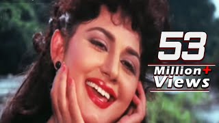 Hum To The Anjaane  Anuradha Paudwal Jungle Love Song [upl. by Moorish]