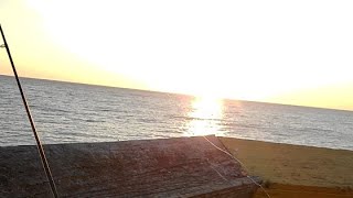 Myrtle beach pier fishing [upl. by Erreip]