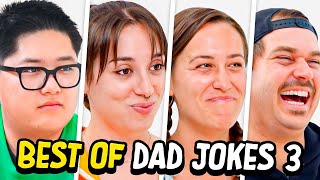 Dad Jokes  Dont laugh Challenge  Best Moments 3  Raise Your Spirits [upl. by Aldwon]