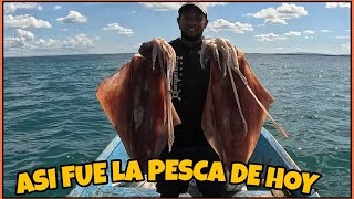 EL DIA DE HOY FUIMOS A PESCAR CALAMARES [upl. by Birdt]