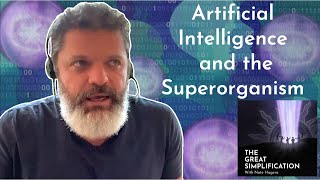 Daniel Schmachtenberger quotArtificial Intelligence and The Superorganismquot  The Great Simplification [upl. by Towny379]