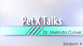 Pet X Talks  Dr Melinda Culver  Coconut Oil Vs MCT Oil  What it is amp isnt amp the benefits [upl. by Hacker]