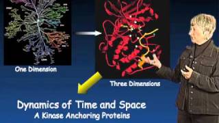 Susan Taylor UCSD Part 3 Protein Kinase Regulation and Localization [upl. by Anujra468]