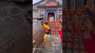 Manzil Kedarnath 🥰❤️ song love kedarnath kedarnathtemple shorts trending viraltrend music [upl. by Petronella]