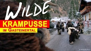 NEU Gasteiner Krampuslauf  Perchtenlauf mit Krampus Attacke [upl. by Adleremse]