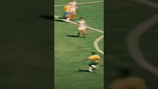 PELÉ MORREU SENDO O REI DO FUTEBOL [upl. by Bekha]