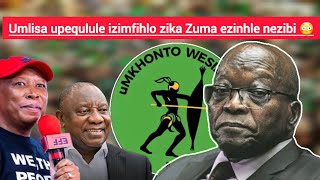 Ushayelwe izandla umlisa opequlule izimfihlo zika Zuma obala ezinhle nezibi 😳Zizwele [upl. by Durston998]