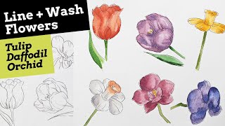 Easy Line and Wash Flowers Pt 2 [upl. by Madra]