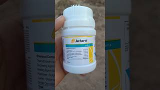 Syngenta Actara Systemic Insecticide Thiamethoxam 25 [upl. by Cohleen]