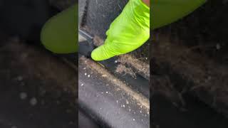 How to cleaning a car interior dog fur removal before and after Mobile Car Valeting Kinsale [upl. by Demetrius78]