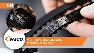 Wet timing belt 12 PureTech  Peugeot Citroen  Timing belt dissolves  V220887 [upl. by Ellatsirhc]