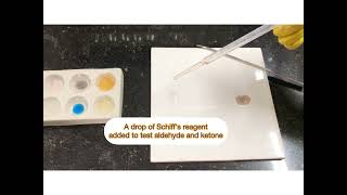 Microscale Experiments in Chemistry  A Sample Demo [upl. by Bili294]