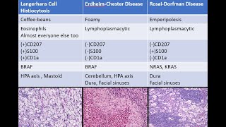 CNS Histiocytosis Langerhans Erdheim Chester Rosai Dorfman ALK [upl. by Denney874]