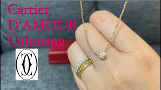 Cartier  DAMOUR Necklace  Jewelry Unboxing myfavoritethings1567 [upl. by Dlareme]