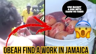 obeah work in Jamaica one bucket a egg find with name on them😱 [upl. by Ellicul]