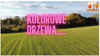 Kolorowe drzewai nie tylko🇵🇱lecimy jesień loty kolorowo [upl. by Bart]