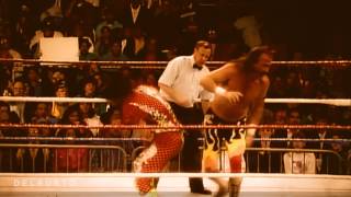 Wrestling Edits Randy Savage vs Jake The Snake Roberts 12391 [upl. by Enerak]