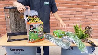 Complete Crested Gecko Setup Review and Care Info  LLLReptiles San Diego location [upl. by Glennon299]