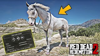 AVOIR LE CHEVAL DE DUTCH quotALBINOSquot RED DEAD REDEMPTION 2 [upl. by Odie712]