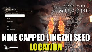 How to get Nine Capped Lingzhi Seed Black Myth Wukong [upl. by Mendes727]