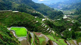 Banaue Rice Terraces Philippines  Best Travel Destination [upl. by Armitage]