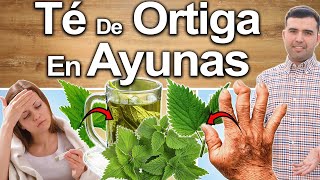 Ortiga En Ayunas  Para Qué Sirve La Pica Pica  Beneficios Para Tu Salud Y Belleza [upl. by Ttik238]