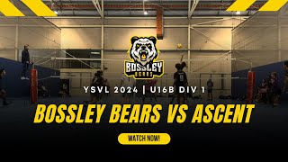 Bossley Bears vs Ascent  YSVL 2024  U16 Boys Div 1 [upl. by Ataliah]