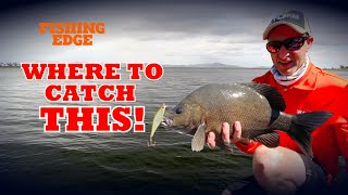 Fishing Edge episode  Sooty Grunter at Eungella Dam [upl. by Hpotsirhc258]