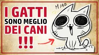 13 motivi per cui I GATTI SONO MEGLIO DEI CANI [upl. by Adnal]