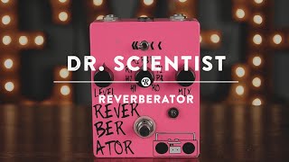 Dr Scientist Reverberator  Reverb Demo Video [upl. by Nnave]