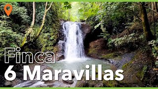 Finca 6 Maravillas  Puriscal Costa Rica [upl. by Fayette]