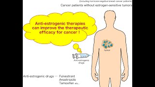 Introduction to Antiestrogen Drugs or Therapy [upl. by Menedez]