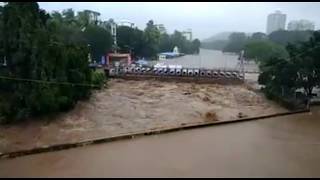 Borivali National Park flood 2017 [upl. by Stannwood745]