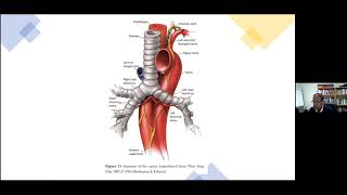 1Surgical Anatomy and Management of Laryngotracheal Stenosis amp 2 Advanced Laryngeal cancer [upl. by Verney59]