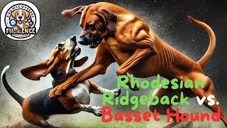 Rhodesian Ridgeback vs Basset Hound Strength Strategy and Stamina in an Epic Showdown [upl. by Brieta]