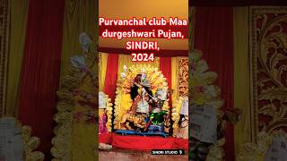 Purvanchal club Maa durgeshwari PujanSINDRI2024sindridurgapujadurgamaadurgareligion [upl. by Evad]