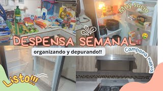 LIMPIEZA PROFUNDA DEL REFRIGERADOR  SURTIENDO LA DESPENSA  YA TENGO 🔔 DE COCINA🤩 [upl. by Eahsan901]