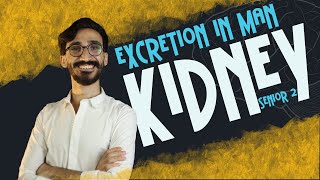 Biology  Excretion  kidney  second term  senior 2  دكتور مصطفي خضر 2024 [upl. by Iand]