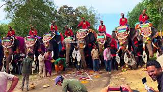 Gajapayana ಗಜಪಯಣದೊಂದಿಗೆ ಮೈಸೂರು ದಸರಾ ಶುರು Mysuru Dasara begins Veeranahosahalli Hunsur Aranya Bhavana [upl. by Nuarb448]