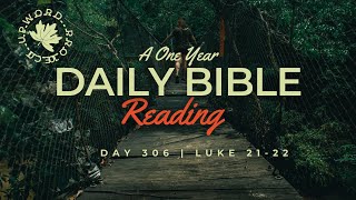 Day 306  Daily Bible  Denied and Betrayed  Luke 2122 [upl. by Nosoj]