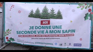 Lancement de l’opération de collecte de sapins en enclos 2024 [upl. by Arammat]