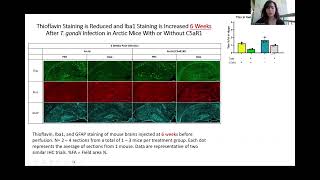 AD Toxoplasma Gondii Project UROP Video [upl. by Emalee]