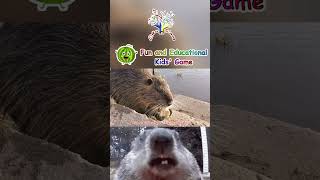 The Animals Sounds Song  Beaver Song  EduFam Nursery Rhymes amp Kids Songs beavers animals funny [upl. by Magdalene806]