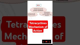 Tetracyclines Mechanism of Action [upl. by Ycinuq386]