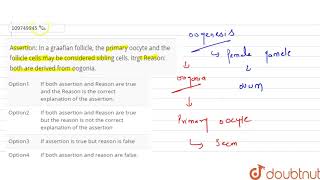 Assertion In a graafian follicle the primary oocyte and the follicle cells m [upl. by Nakah]