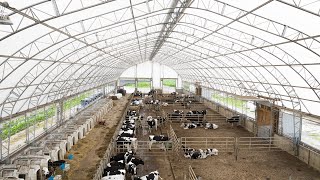 Dairy Operations in a MegaDome [upl. by Adnorhs]