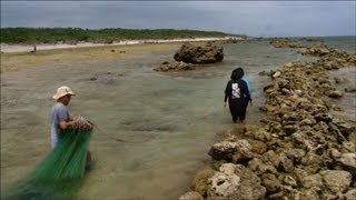 SATOUMI  Shiraho Community Ishigaki Island Okinawa Prefecture Japan [upl. by Margit]