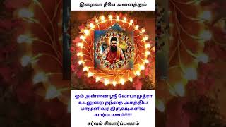 இறைவன் நம்மைத் தேடி வர என்ன செய்ய வேண்டும் என அகத்தியர் பெருமான் உரைத்த வாக்கு tamil அகத்தியன் [upl. by Anitsud]